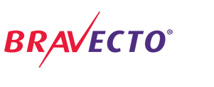 bravecto-com-sg